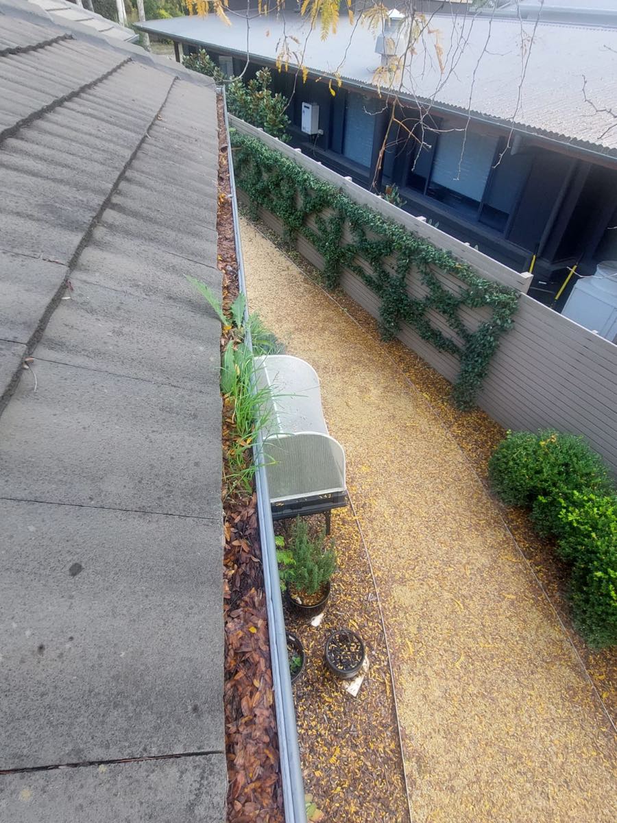 Box gutter packed with leaf litter and silt before cleaning