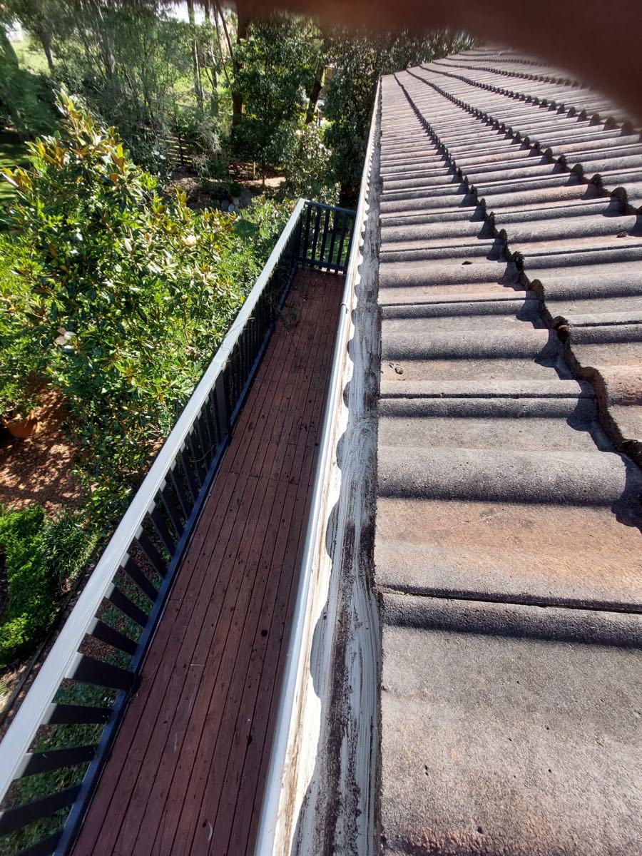 Tile roof gutter full of compacted debris above a timber deck