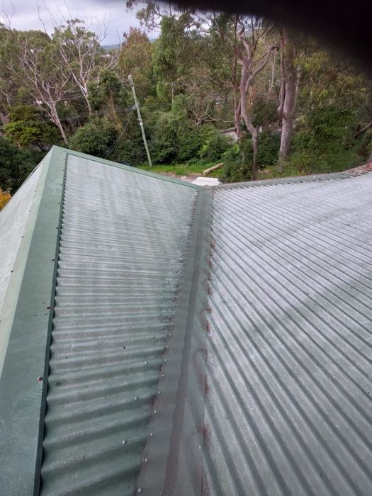 Roof valley with gutter guard mesh installed along the run