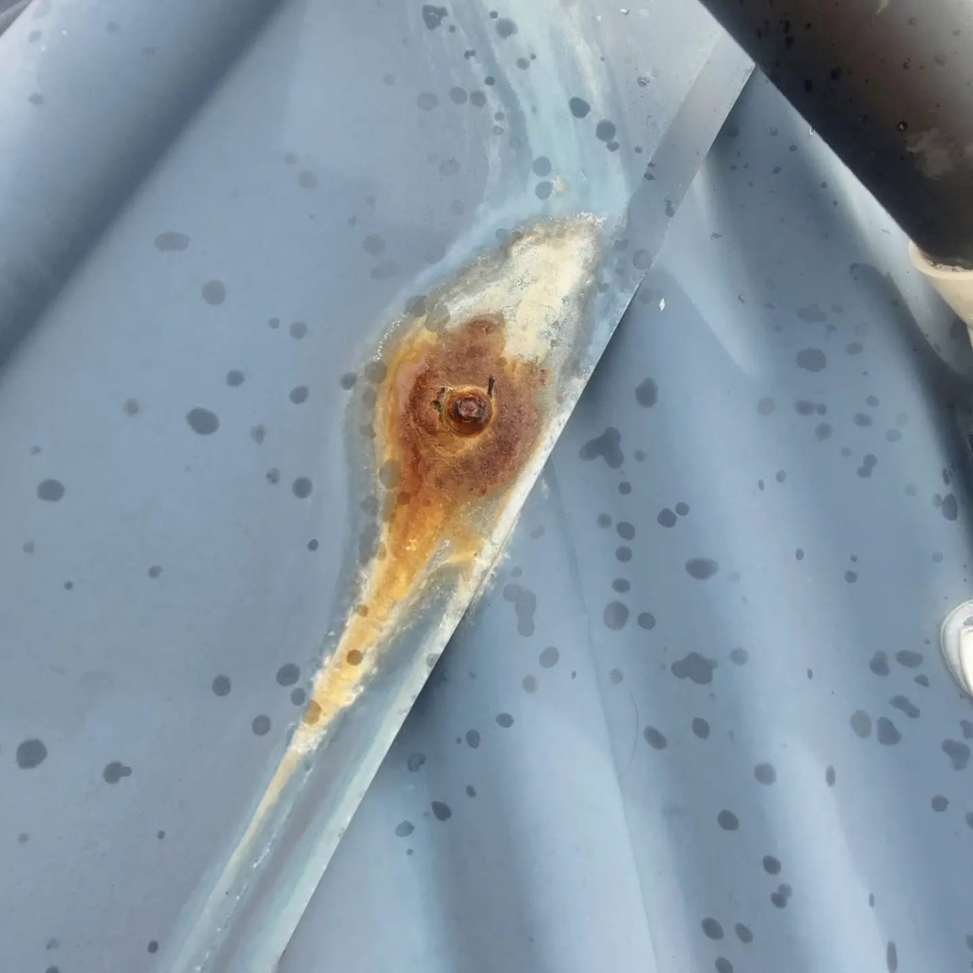 Rusted roof screw and washer, a common hidden entry point for water