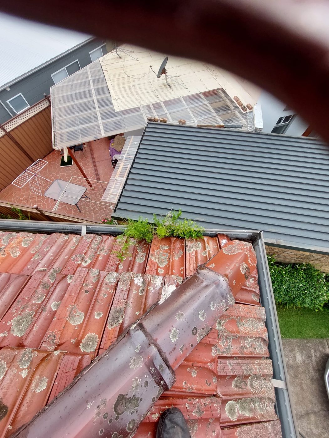 Terracotta roof tiles with moss growth and deteriorated pointing