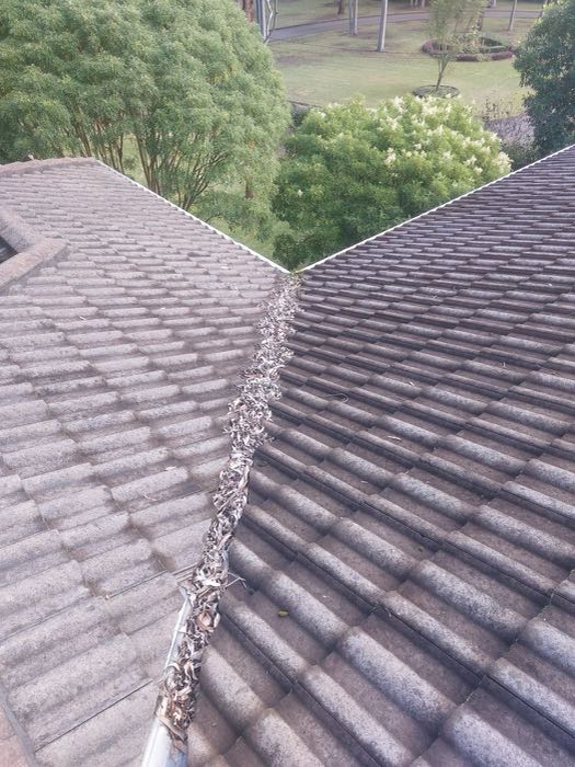 Tile roof valley packed with leaf litter before clearing